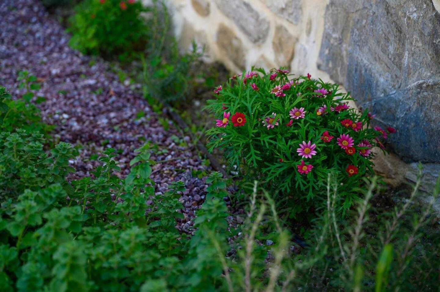 Physis Country House Near Matala Beach & Faistos Kouses Exterior photo